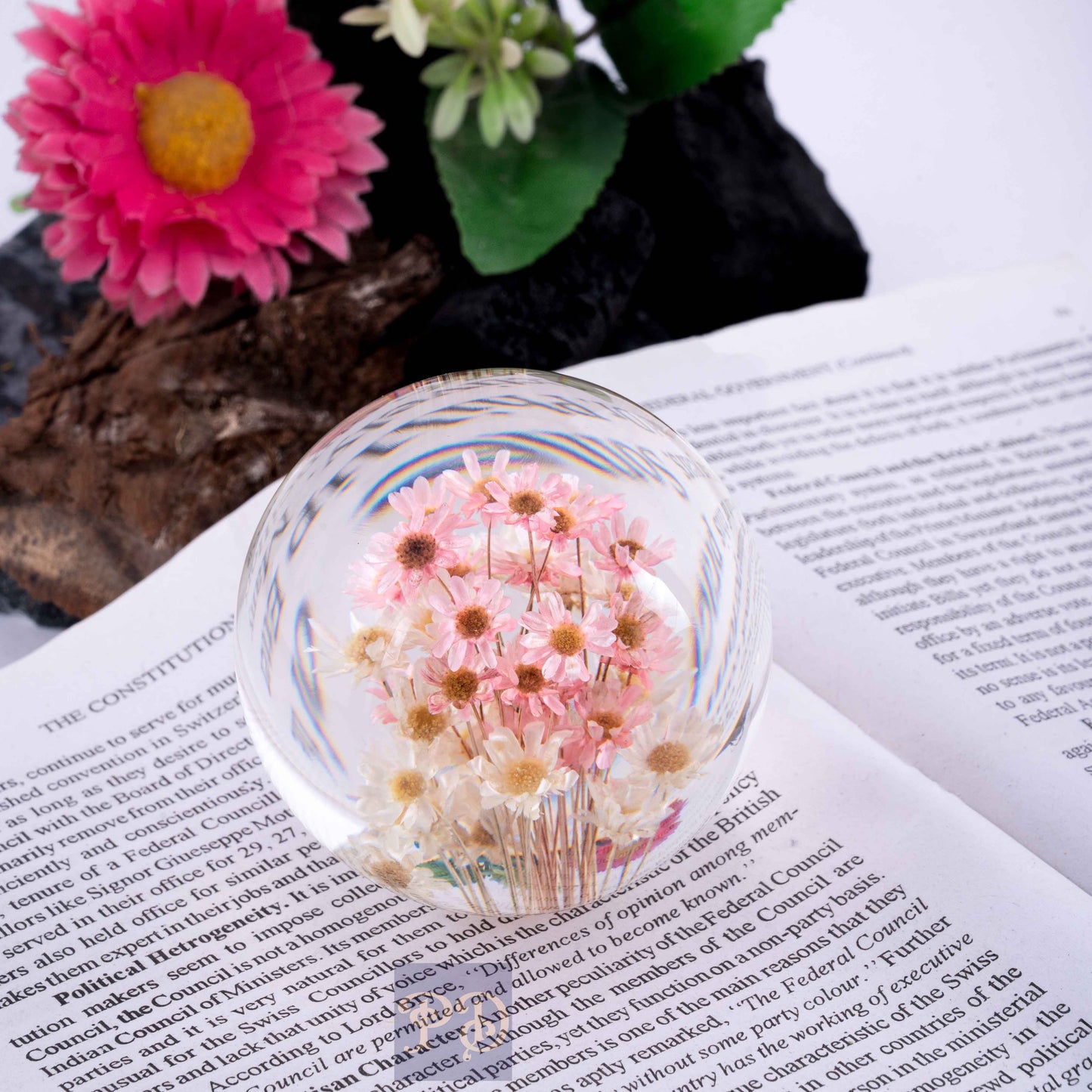 Brazilian Star Flower Paperweight