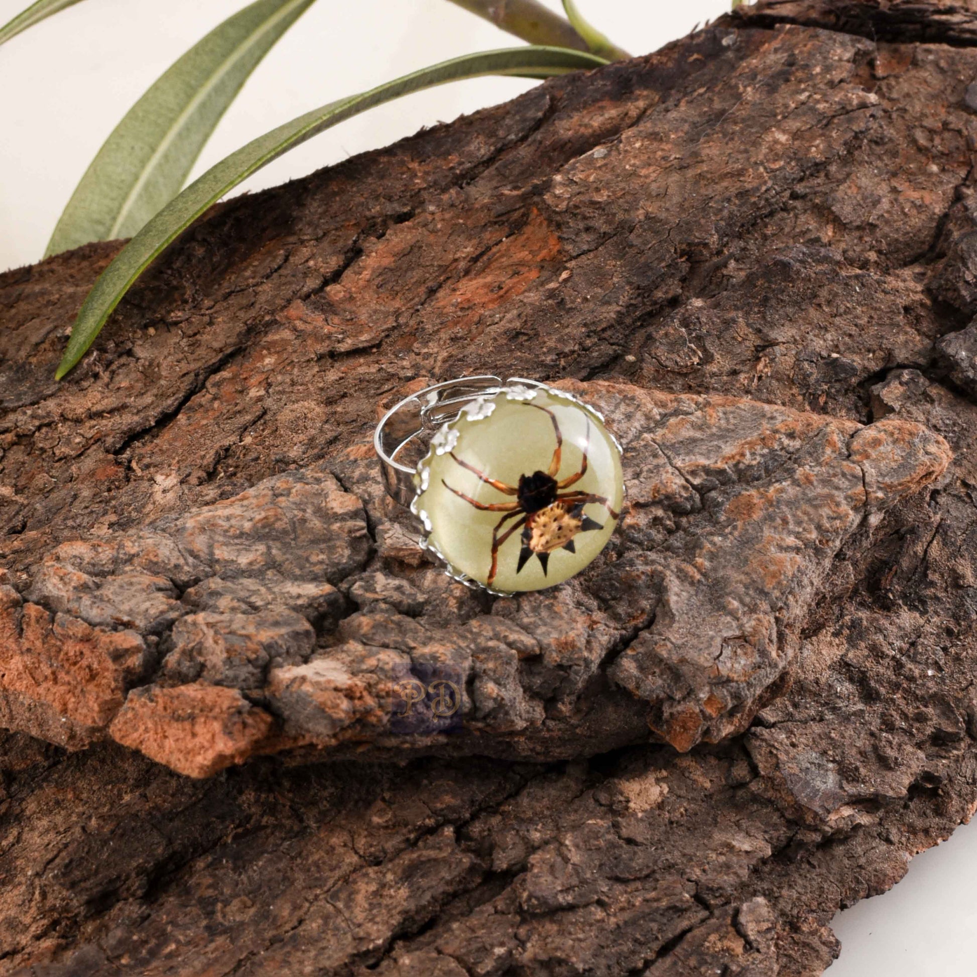 Spidey's Dark Web Ring