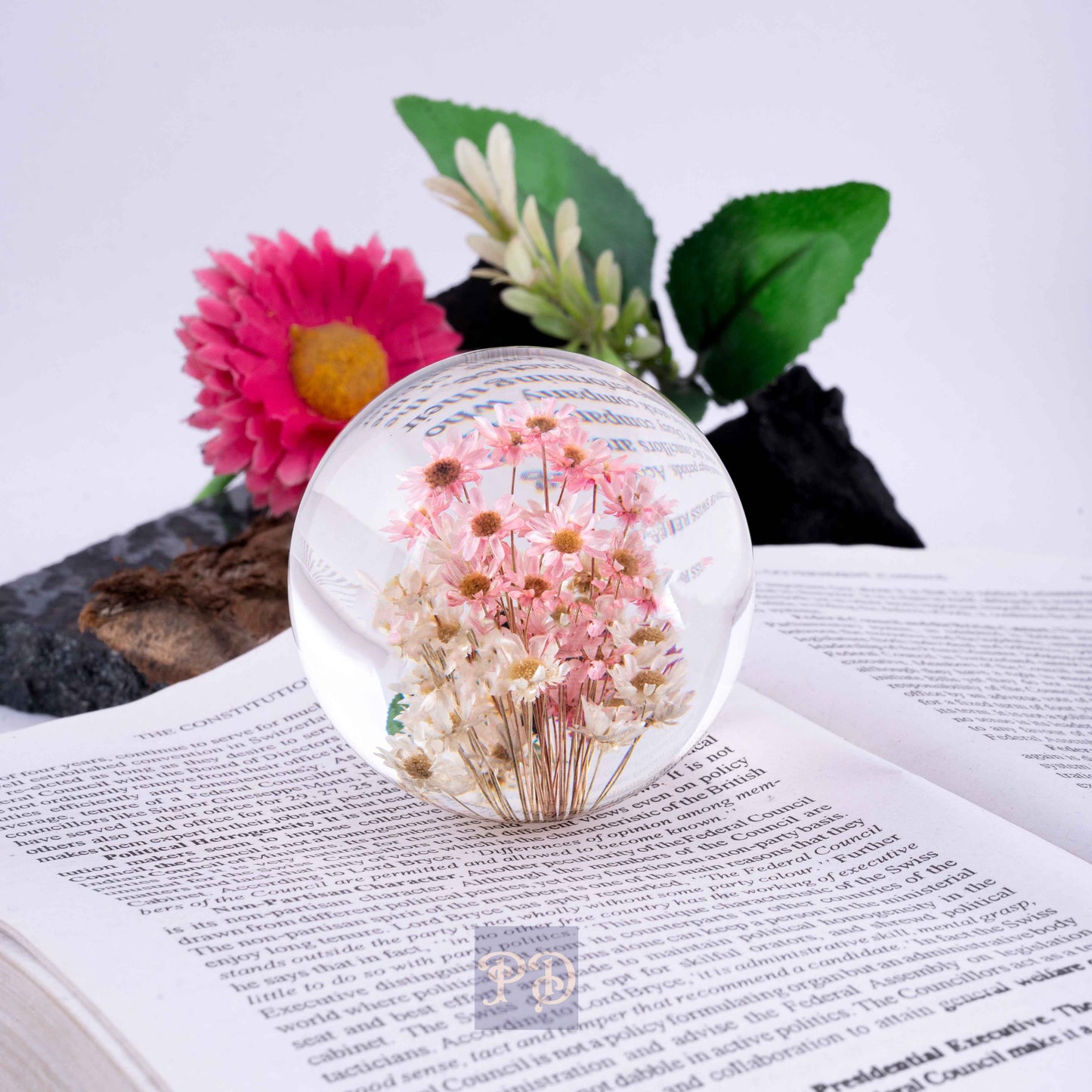 Brazilian Star Flower Paperweight