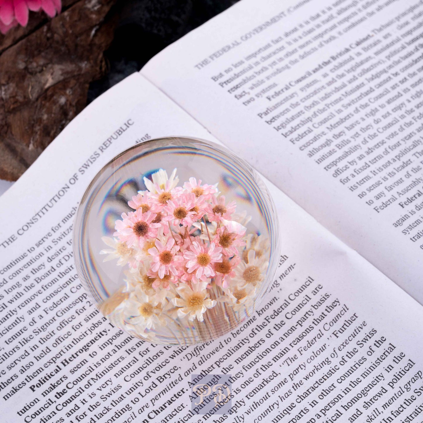 Brazilian Star Flower Paperweight