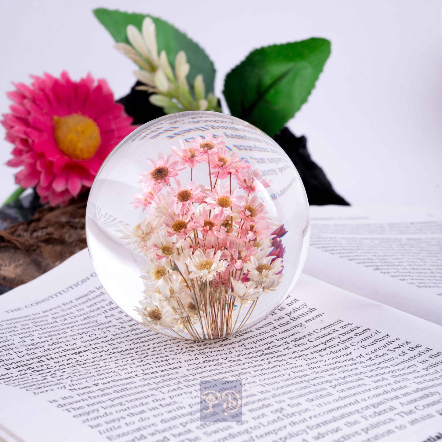 Brazilian Star Flower Paperweight