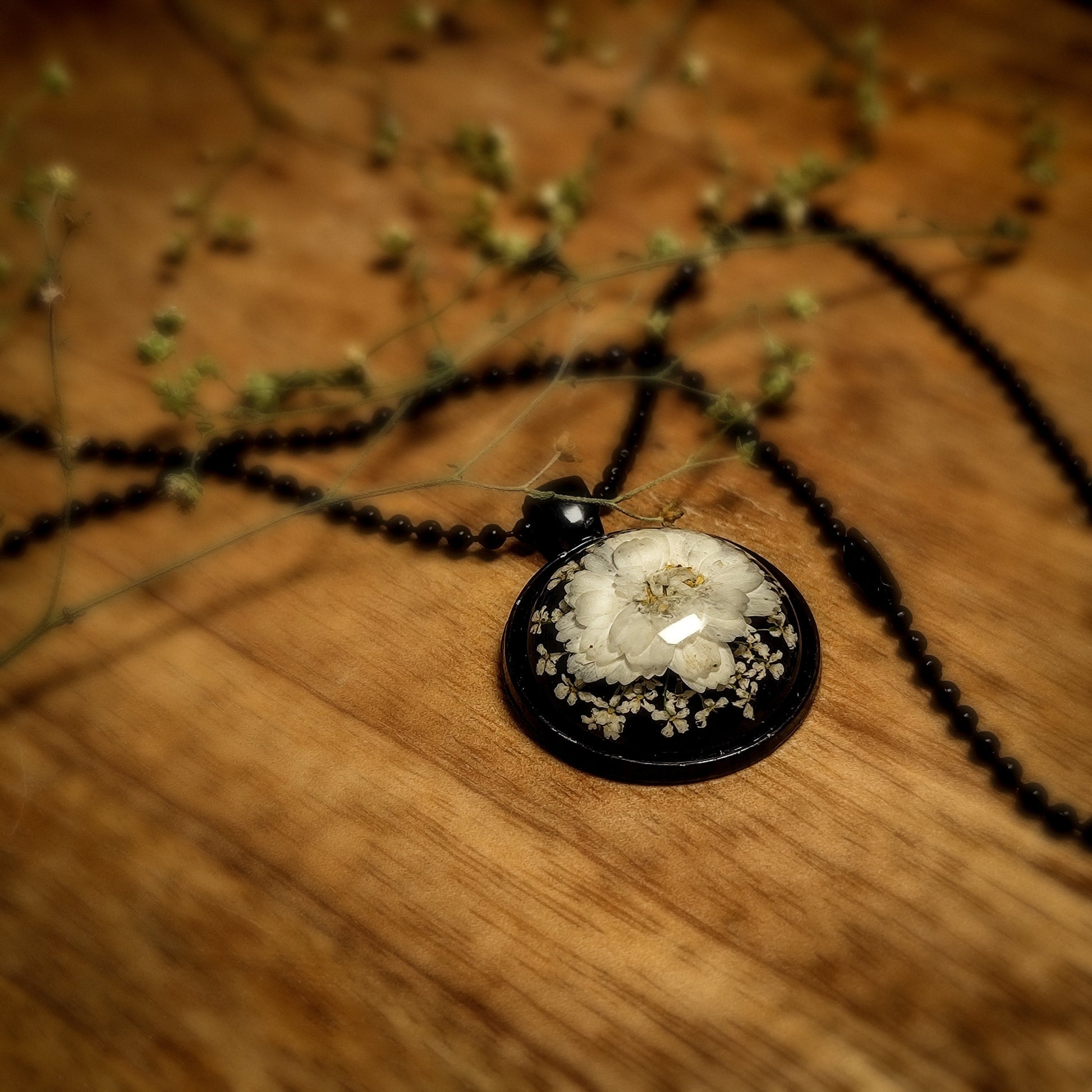 Midnight Whispers of Black and Daisy