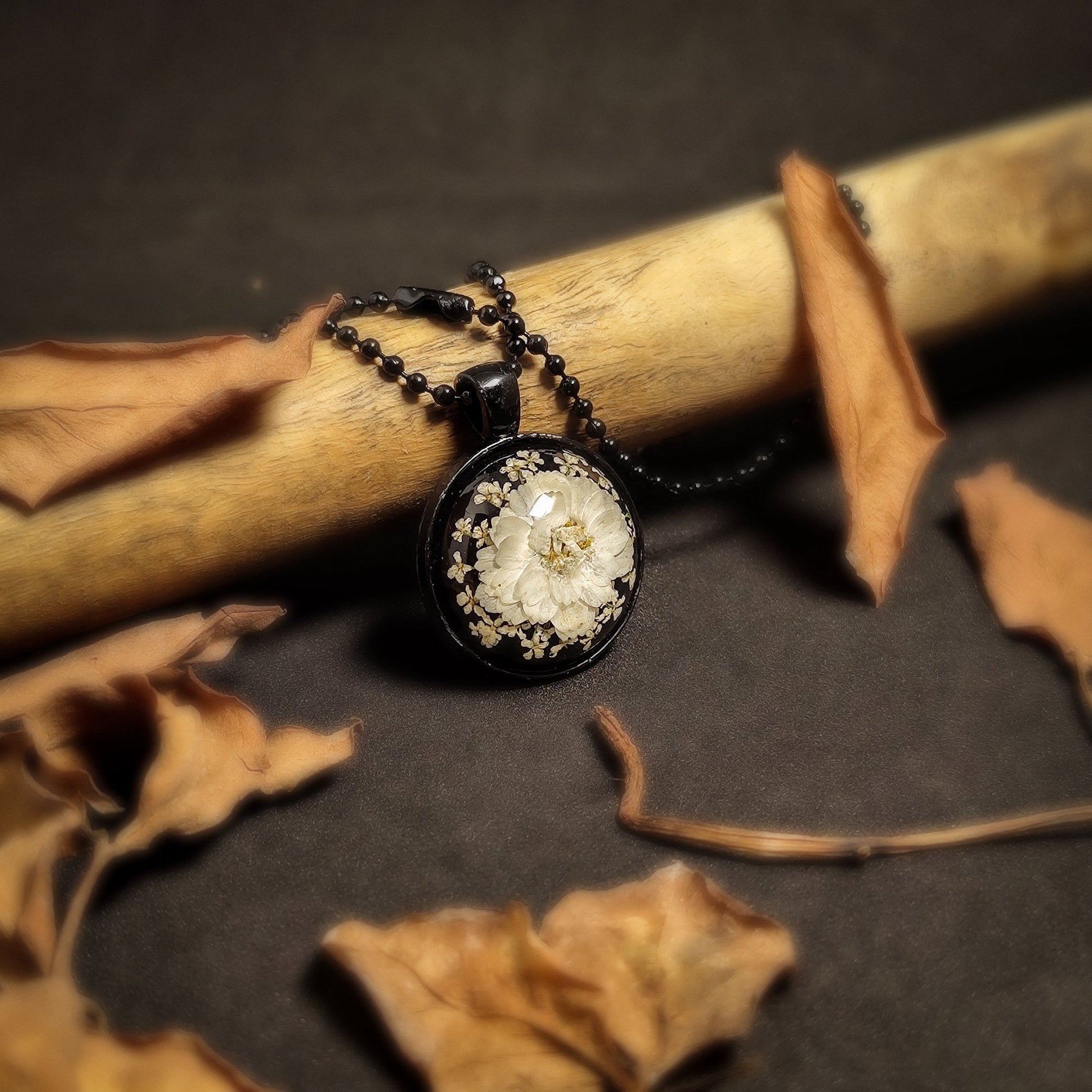 Midnight Whispers of Black and Daisy