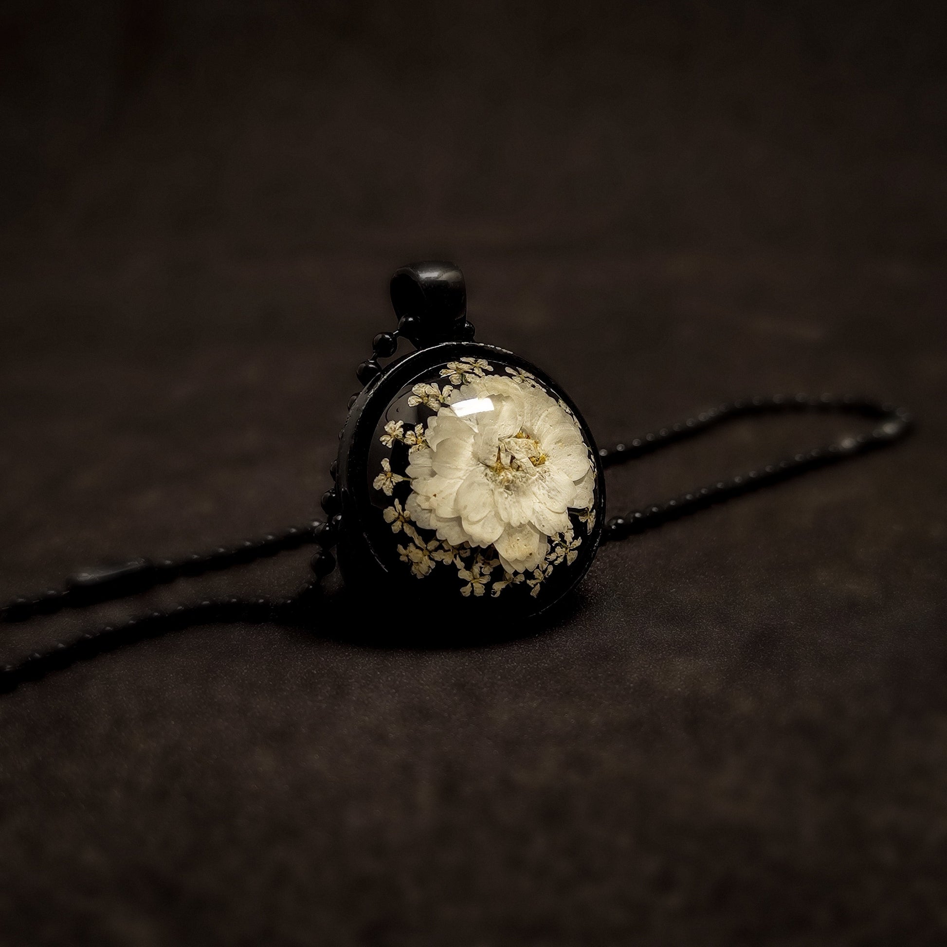 Midnight Whispers of Black and Daisy