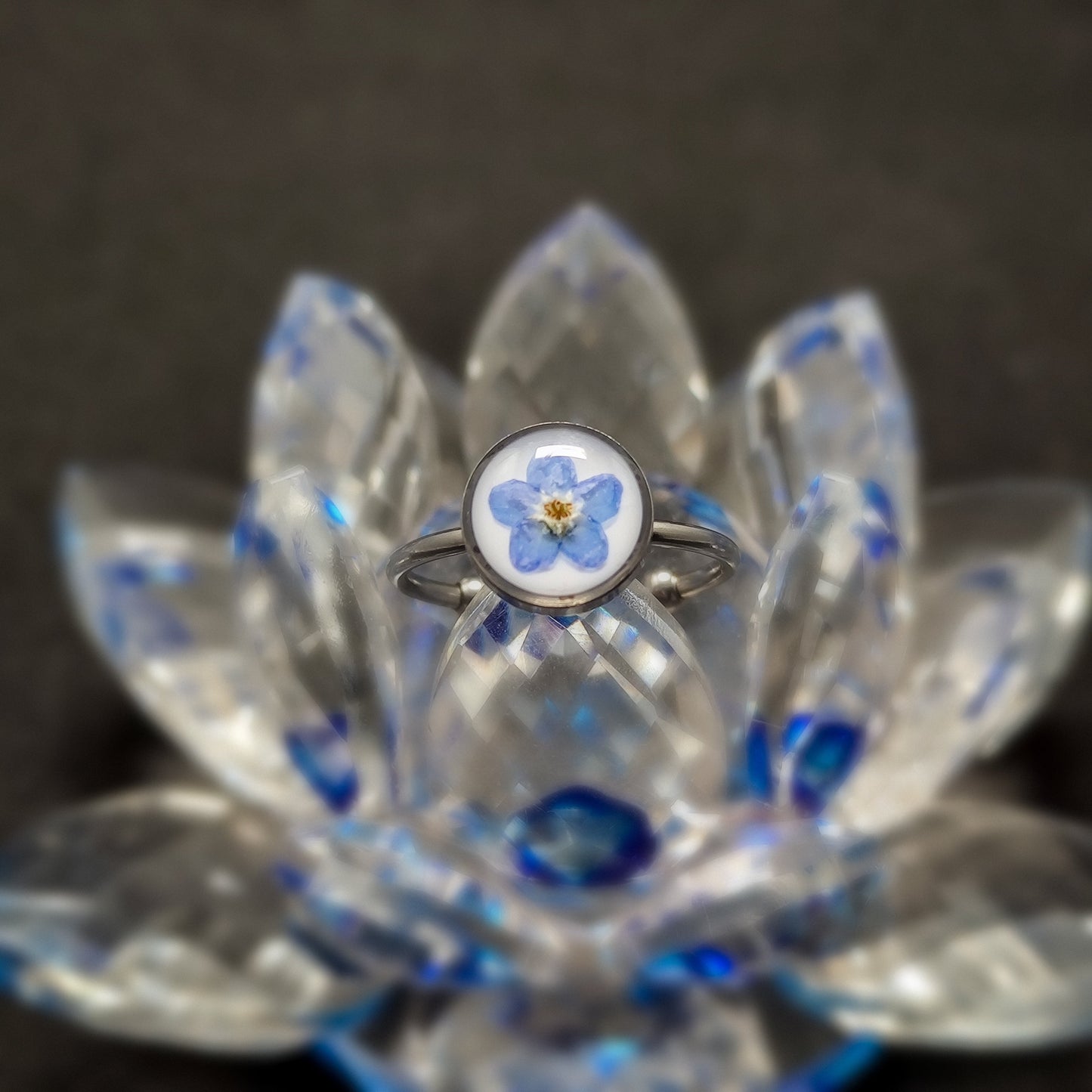Melodies of Forget-Me-Not Ring