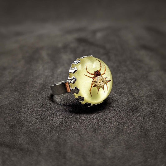 Spidey's Dark Web Ring