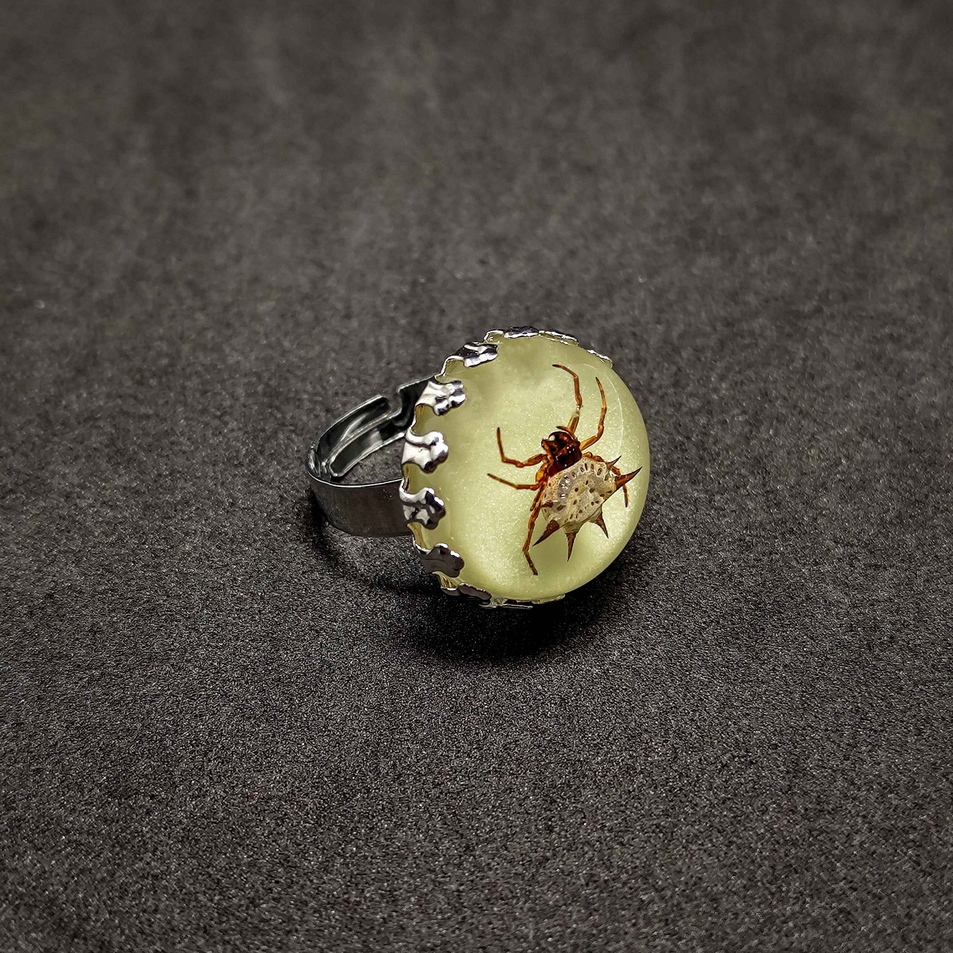 Spidey's Dark Web Ring