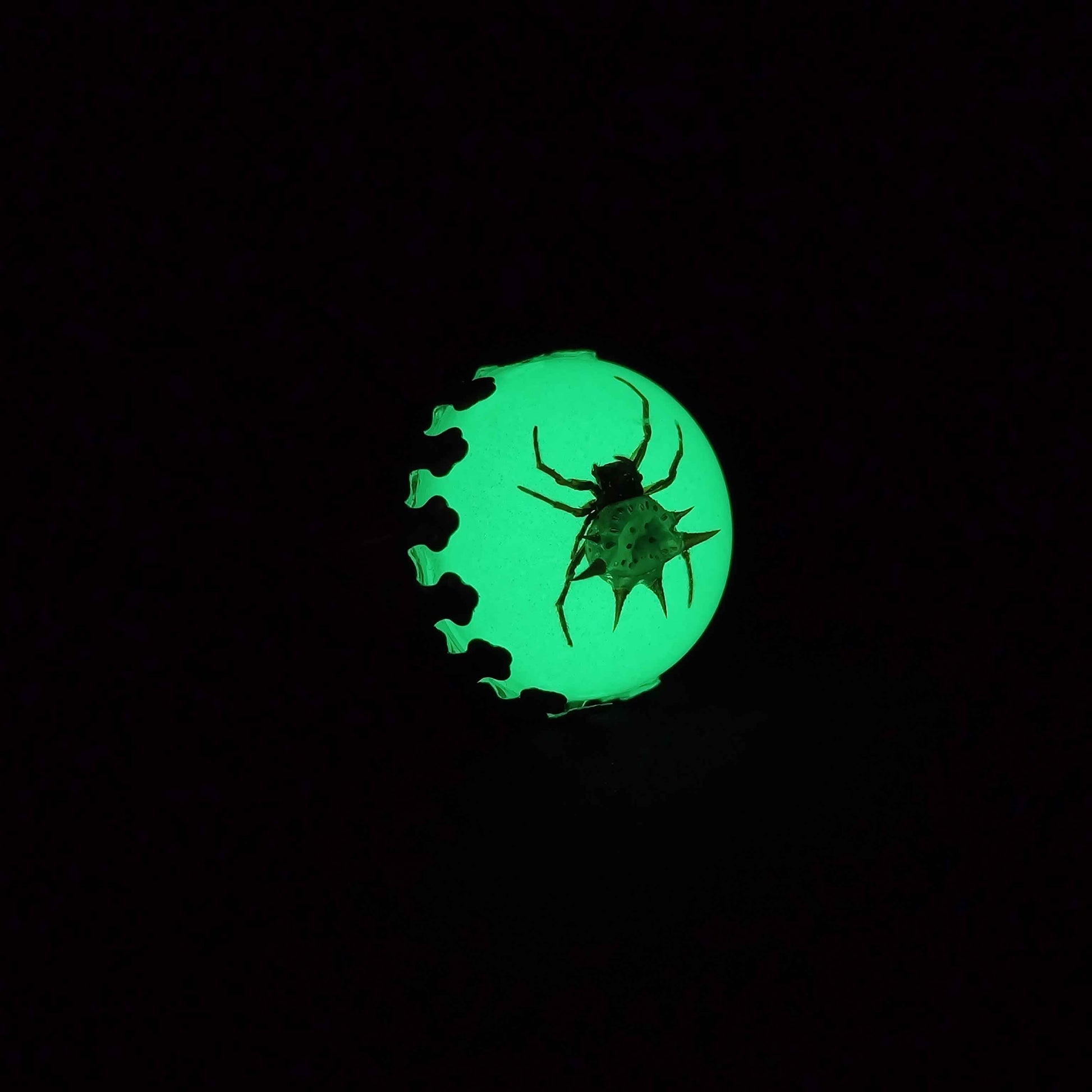 Spidey's Dark Web Ring