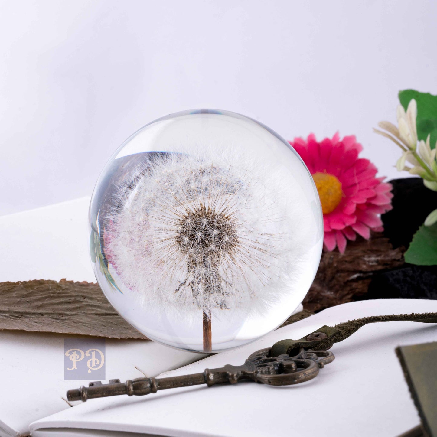 Dandelion's Secret Paperweight