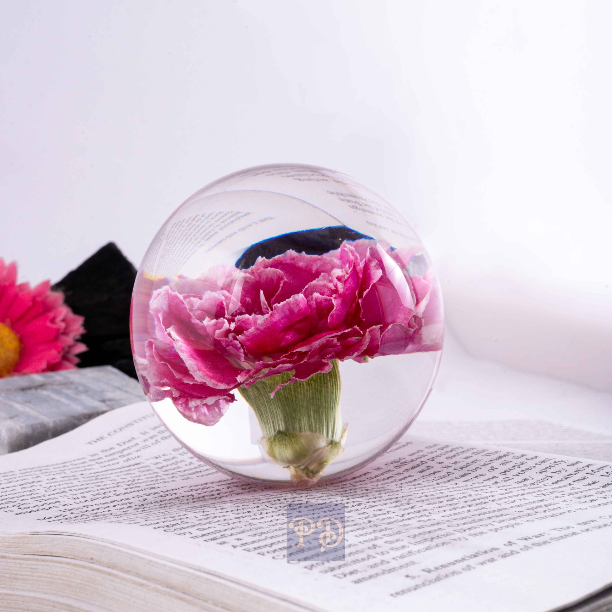 Pink Carnation Paperweight