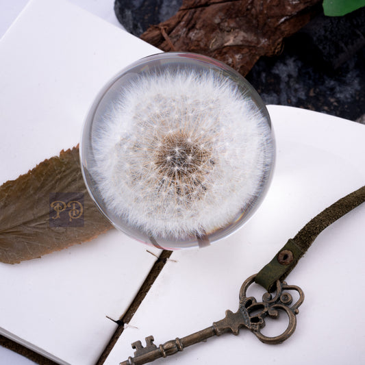 Dandelion's Secret Paperweight