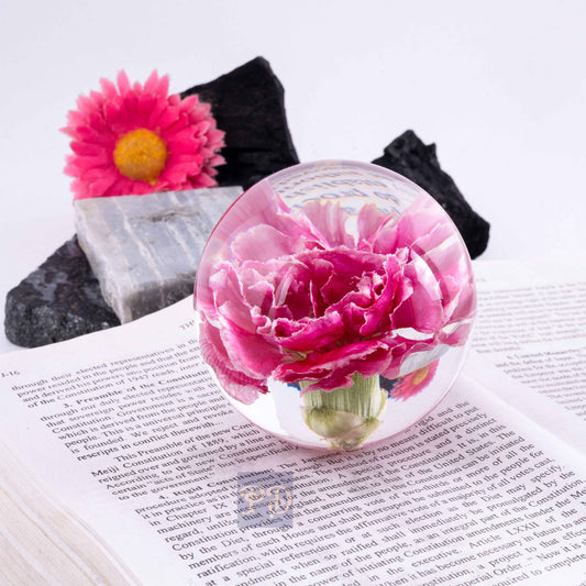 Pink Carnation Paperweight