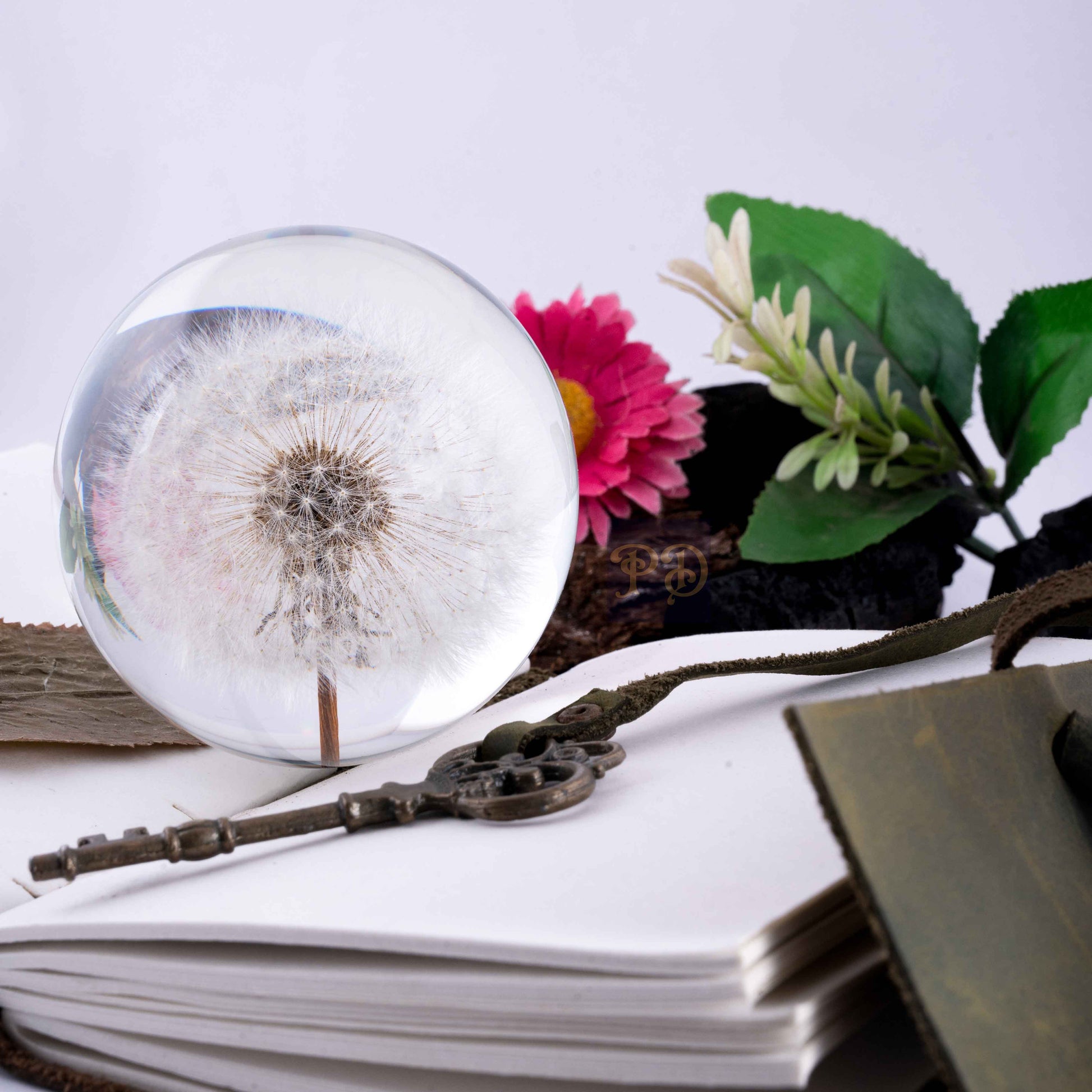 Dandelion's Secret Paperweight