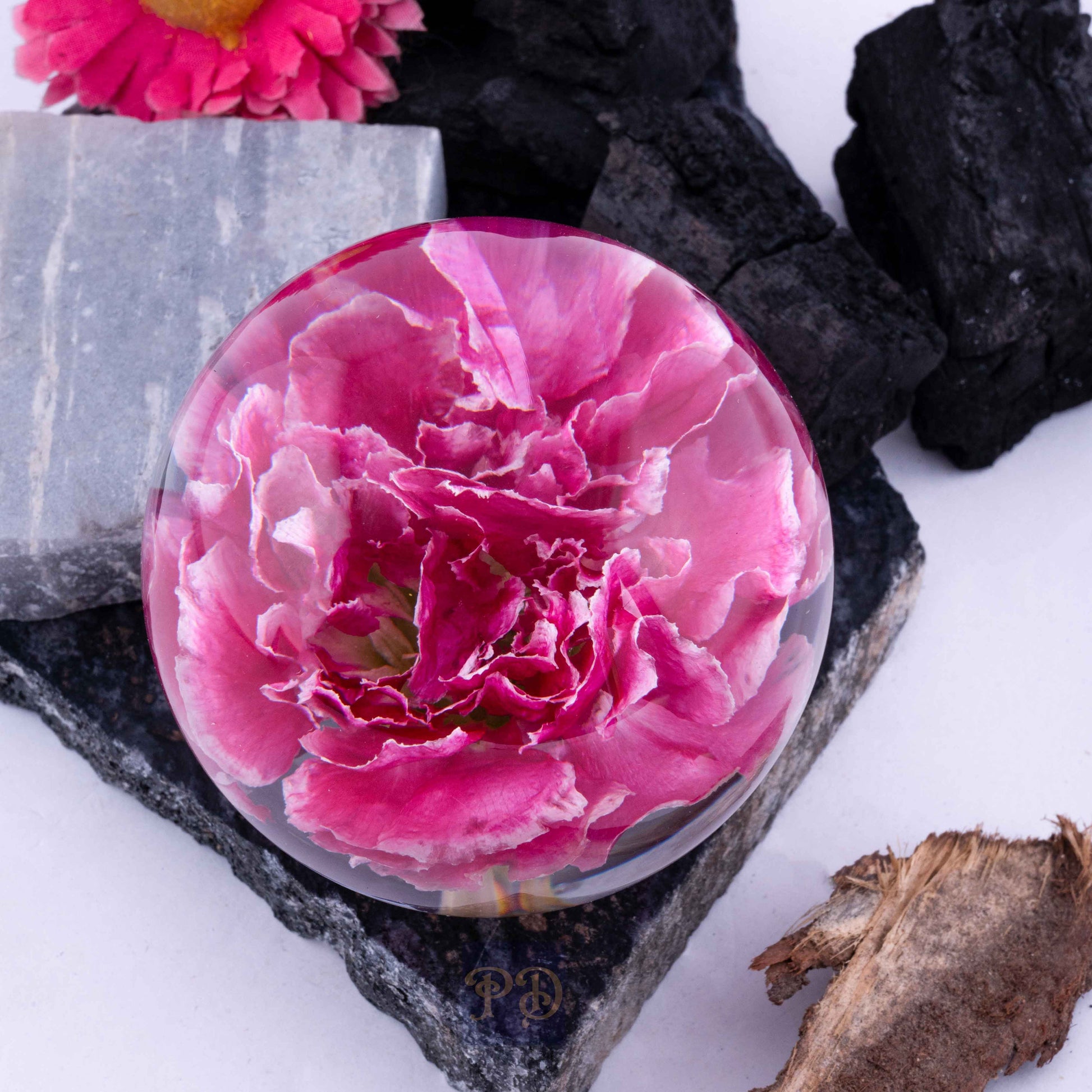 Pink Carnation Paperweight