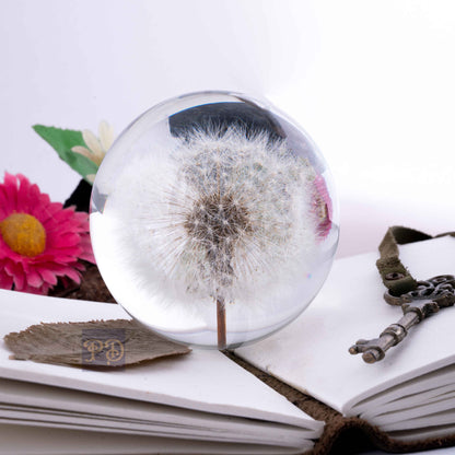 Dandelion's Secret Paperweight